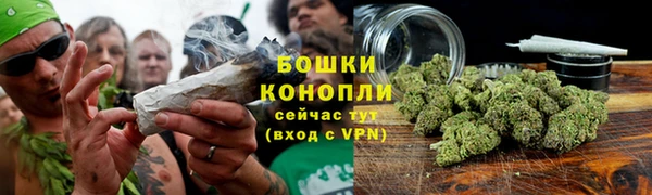 spice Белокуриха